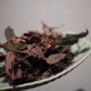 野生白茶菜菜私房茶美人妆，2024年白茶，40克散茶有青味