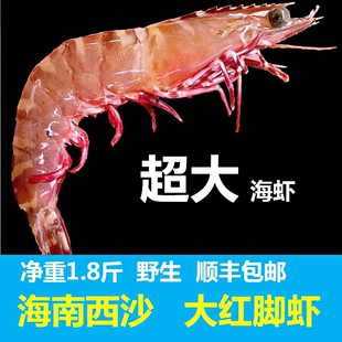 海南红脚虾九节虾新鲜冷冻1.8斤/盒海虾竹节虾斑节虾基围虾红爪虾