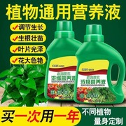 营养液植物通用型绿萝富贵竹发财树巴西木多肉水培养花卉绿植花肥