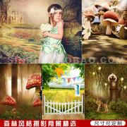 森林蘑菇个性儿童摄影背景布影楼婚纱摄影背景数码主题拍照