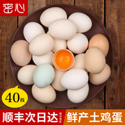 正宗土鸡蛋农家散养新鲜北京柴鸡蛋山林地，纯笨草鸡蛋整箱40枚
