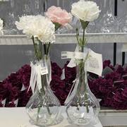宜家IKEA维利斯塔透明玻璃花瓶 水培插花客厅摆件 干花装饰品
