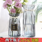 两件套北欧创意玻璃花瓶，透明水养富贵竹鲜花百合，插花花瓶摆件