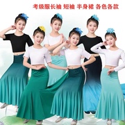 2023儿童傣族舞蹈服装女童少儿民族舞蹈练功服考级服鱼尾裙