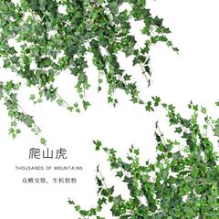 仿真葡萄叶爬山虎假花藤条植物塑料绿树叶水管道吊顶缠绕装饰遮挡