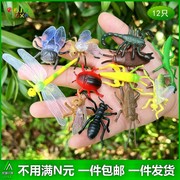 仿真小昆虫套装幼儿园儿童玩具，迷你蝎子蚂蚱蜻蜓，蜜蜂静态动物模型