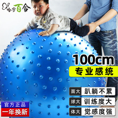 哈宇100cm防爆健身球瑜伽球大龙球