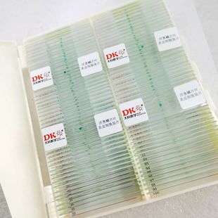 洋葱鳞片叶表皮细胞装片100片/盒  显微生物切片T 中学教学示教片