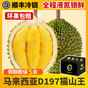 马来西亚猫山王榴莲D197礼盒液氮进口新鲜水果一整个