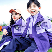 校服秋冬学生紫色班服冲锋衣可脱卸儿童套装幼儿园服长袖裤子