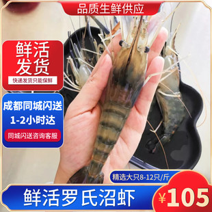 成都海鲜鲜活罗氏虾大头虾，淡水虾活虾沼虾满2份三环内包闪送500g