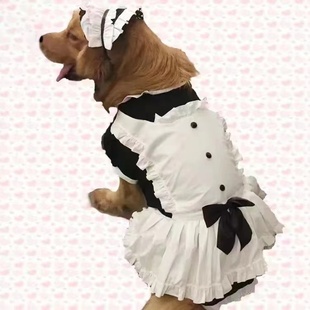 宠物中大型狗狗裙子变身装女仆，衣服围裙头饰金毛萨摩巨贵可爱装扮