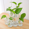 花瓶摆件创意小清新大客厅桌面，绿萝插花欧式花器玻b璃水培植物容