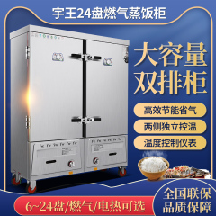 宇王蒸饭车电蒸饭柜商用12盘不锈钢 燃气蒸饭车液化气蒸饭机蒸柜