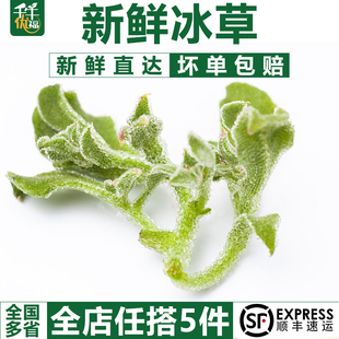 千牛优福新鲜冰草300g冰菜非洲冰叶野菜沙拉，蔬菜凉拌冰草