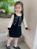 女童连衣裙秋装韩国儿童春秋小童公主裙洋气韩版针织毛线裙子