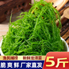 新鲜龙须菜火锅凉拌菜食品包装海菜海藻食材海草发菜石花菜