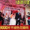高端婚礼9000片足量不褪色玫瑰花瓣表白订婚婚礼仪式礼花