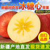正宗新疆阿克苏冰糖心苹果2023年新货丑苹果红富士苹果水果新鲜