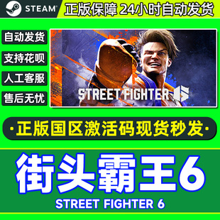 Steam 街头霸王6 街霸6 Street Fighter 6 国区激活码CDKey 游戏