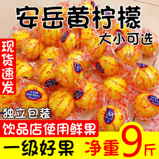 四川安岳黄柠檬(黄柠檬，)一级果皮薄多汁当季水，果香柠檬大中小整箱5斤