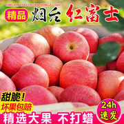 正宗山东烟台红富士苹果水果新鲜脆甜5/10斤冰糖心苹果丑