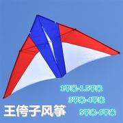 王侉子(王侉子)潍坊风筝大型三角伞布碳杆成人微风易飞精细做工微风风筝