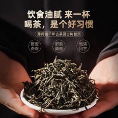 云南易武高杆薄荷塘古树纯料回甘普洱生茶头春散茶散装茶叶袋装