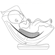 新生婴儿车载汽车，安全座椅防窝增高腰垫通用提篮平坦腰托腰靠