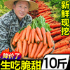 新鲜水果胡萝卜10斤红萝卜红皮萝卜蔬菜农家自种现挖带泥