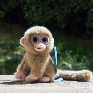 可爱大眼睛小猴子毛绒玩具棕色灰色仿真猴子玩偶公仔长尾巴猴玩偶