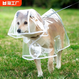 小狗狗雨衣泰迪专用中型小型犬柴犬，透明雨披防水柯基宠物衣服雨天
