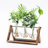 夏季创意木架水培玻璃花瓶个性，小清新绿萝水培，植物摆件办公室装饰