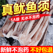 新鲜鱿鱼须生鲜尤鱼头鲜活冷冻章鱼足八爪腿铁板鱿鱼商用海鲜水产