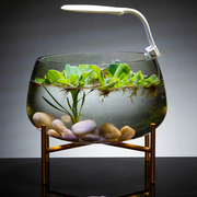 创意玻璃鱼缸客厅小型圆形金鱼缸水族箱乌龟缸桌面懒人大号水培缸