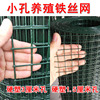 硬塑小孔养殖铁丝网围栏，网养鸡围网隔离网格，拦鸡网养鸽子围网户外