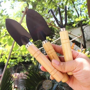 园艺工具三件套迷你园林工具铁锹铲小铲子植物花盆栽