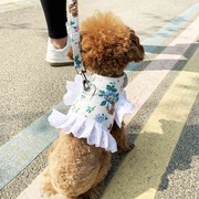 泰迪狗衣服网红比熊秋季可爱宠物博美狗狗胸背带幼犬小型犬牵引。