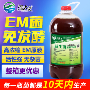 EM菌种浓缩原液益生菌培藻乳酸菌水产养殖专用鱼缸菌肥水膏渔大夫