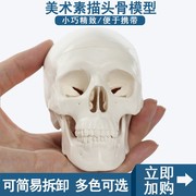 骷髅模型人体头颅骨骼迷你头骨，可拆卸美术素描道具医学生教学模具