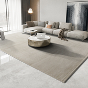 定制纯色地毯客厅灰色，现代简约北欧风格沙发茶几，垫家用卧室新中式