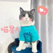 宠物猫衣服夏季薄款透气可爱印花背心布偶蓝猫公猫小猫宠物防掉毛