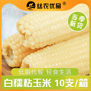 白糯玉米10支真空袋装新鲜即食，非东北黏玉米棒低脂0添加整箱苞谷