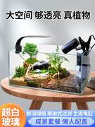 乌龟缸超白玻璃造景家用客厅养乌龟专用缸饲养箱带晒台生态鱼缸