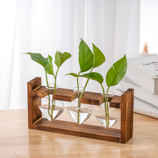 创意木架水培桌面花瓶，绿萝玻璃容器办公室内桌面绿植现代摆件装饰