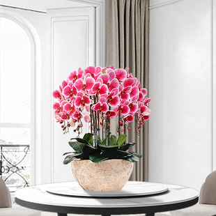 和家蝴蝶兰仿真花套装，塑料花艺绢花假花盆栽，客厅装饰餐桌干花花束