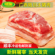 陆宝 广西陆川新鲜五花肉土猪肉新鲜肉现杀猪肉生鲜肉500g