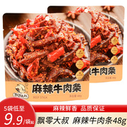 飘零大叔麻辣牛肉条48g 真空牛肉干零食独立包装网红川味即食
