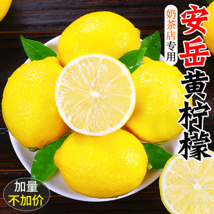 四川安岳黄柠檬新鲜皮薄一级无籽香水鲜甜现摘青柠檬水果5斤
