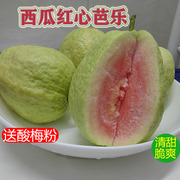 广东本地西瓜红心芭乐5斤脆甜红芯番石榴巴潘硬红色水果新鲜9